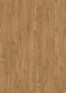 Dub Olchon medový EPL144 - PC2125