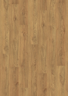 Dub Asgil medový EPL156 - PC2127